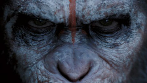 apes